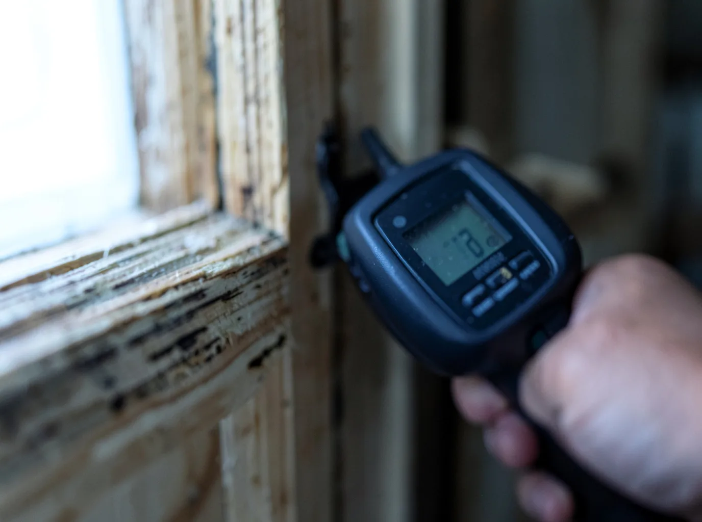 Moisture Inspection And Documentation in Dunlevy, PA